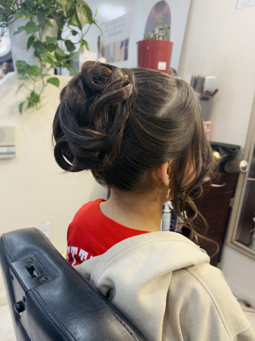 Elegant updo